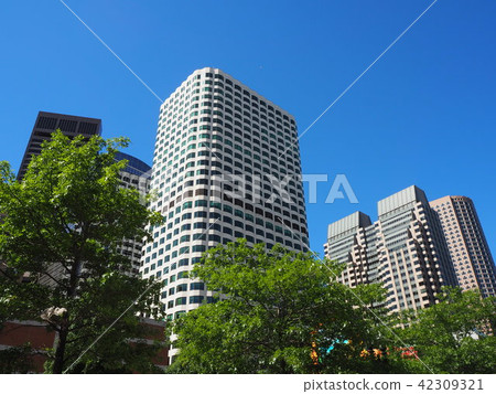 波士頓建築群城市景觀 波士頓建築群城市景觀 42309321