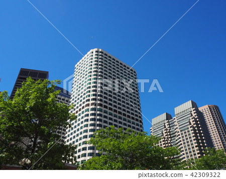 波士頓建築群城市景觀 42309322