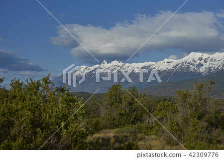 Scenic Patagonia 42309776