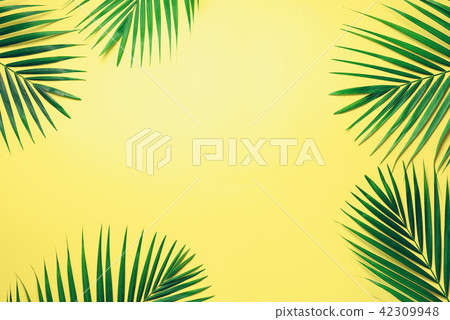 Tropical palm leaves on pastel yellow background Tropical palm leaves on pastel yellow background 42309948