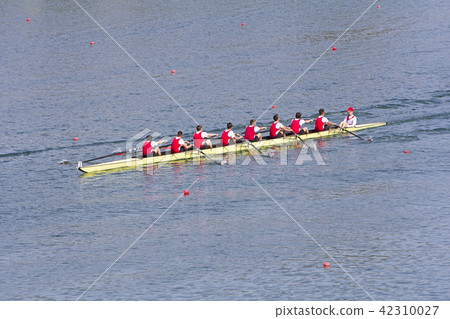 Rowers in eight-oar rowing boats  42310027
