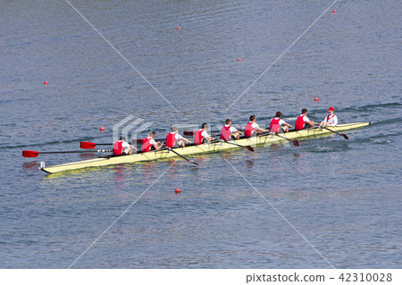 Rowers in eight-oar rowing boats 42310028