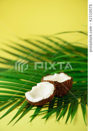 Coconut over tropical green palm leaves on yellow Coconut over tropical green palm leaves on yellow 42310078