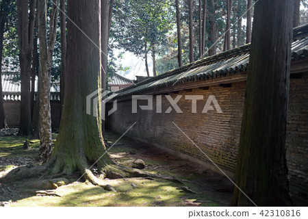 Tada Shrine -2的築地籬笆 42310816