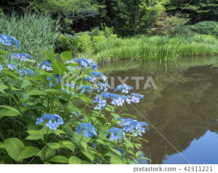 Nagoya city landscape · Higashiyama Park in early summer Nagoya city landscape · Higashiyama Park in early summer 42311221