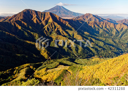 從Doshisha山的秋葉的Michinaki山·現在Kurayama·Mount Kagome和富士山 從Doshisha山的秋葉的Michinaki山·現在Kurayama·Mount Kagome和富士山 42311288