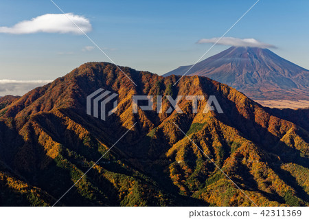 Michinaki mountain of autumnal leaves from Doshisha mountain · now Kurayama · Mount Kagome and Mt. Fuji Michinaki mountain of autumnal leaves from Doshisha mountain · now Kurayama · Mount Kagome and Mt. Fuji 42311369