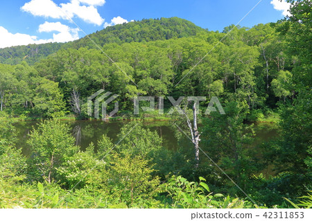 Shiga Takahara Manabu no Kamono Koike Shiga Takahara Manabu no Kamono Koike 42311853