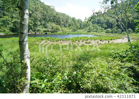 A pond 42311871