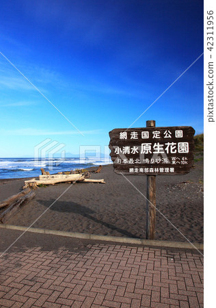 秋天北海道小清水小學園 42311956