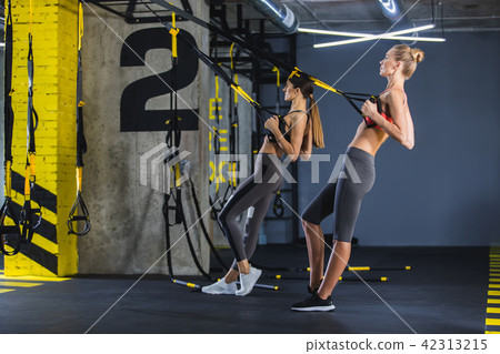 Sporty females are exercising with TRX straps indoors Sporty females are exercising with TRX straps indoors 42313215