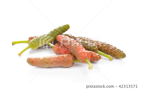 Long pepper or Piper longum on white background Long pepper or Piper longum on white background 42313571