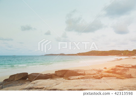 Natural sea coast sand beach skyline 42313598