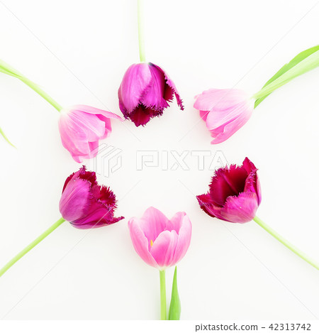 Floral frame with tulips flowers on white back Floral frame with tulips flowers on white back 42313742