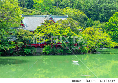 Inokashira Park in Tokyo Summer 42313846