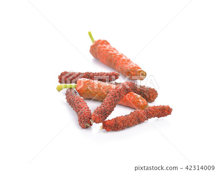 Long pepper or Piper longum on white background Long pepper or Piper longum on white background 42314009