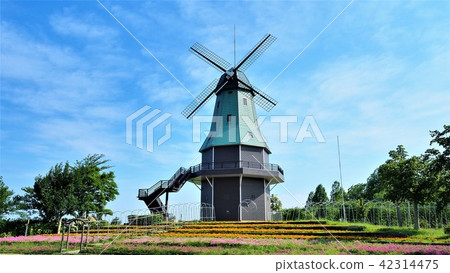 Kasumigaura湖公園荷蘭式風車3 42314475
