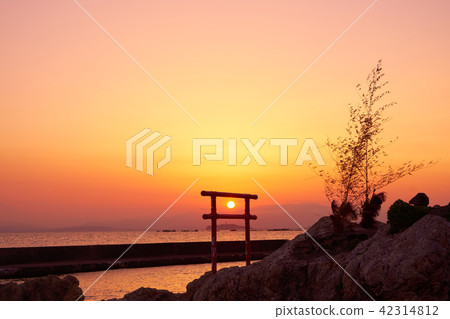 Evening scenery of Hayama (View of Enoshima from Kozo's nose) 42314812