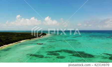 無人機圖像:竹富島的Kaiji海灘 無人機圖像:竹富島的Kaiji海灘 42314970