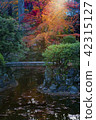Kyoto autumn leaves trip, early morning pref. 42315127