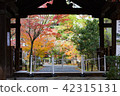 Kyoto autumn leaves travel 42315131