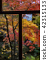Autumn leaves over frosted glass 42315133