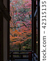 Autumn leaves peeking through the premises building 42315135