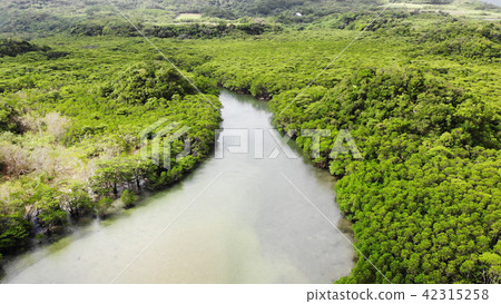 Drone Picture: Fukutoshi river of Ishigakijima 42315258