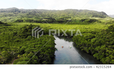 Drone Picture: Fukutoshi river of Ishigakijima 42315264