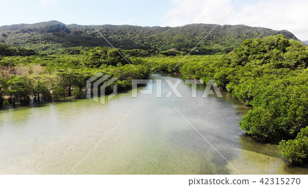 Drone Picture: Fukutoshi river of Ishigakijima Drone Picture: Fukutoshi river of Ishigakijima 42315270
