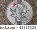 Manhole and autumn leaves of Miyajima 42315325