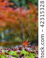Autumn leaves on moss 42315328
