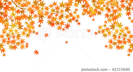 秋葉秋天背景 42315690