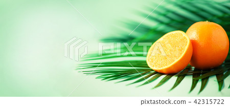 Orange fruit over tropical green palm leaves on Orange fruit over tropical green palm leaves on 42315722