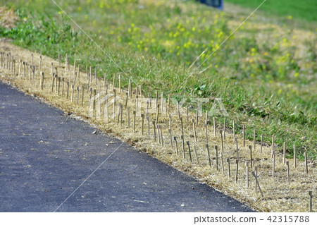 Grass skewer fixation on lawn Grass skewer fixation on lawn 42315788