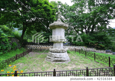 Borimsa Jangheung Borimsa Jangheung 42316384