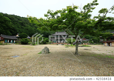 Borimsa Jangheung 42316418