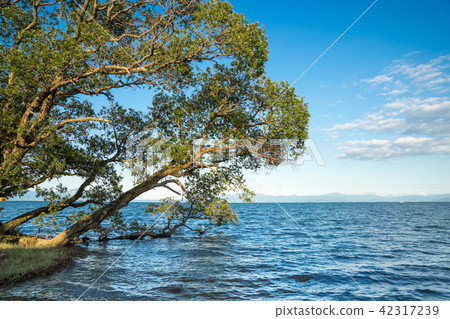 Lake Biwa in summer afternoon 42317239