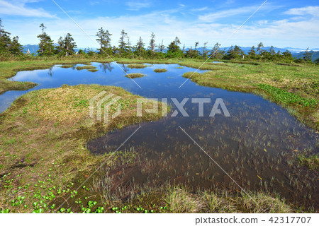 Nakadon Dake Katon reflecting the blue sky spread over the summit 42317707