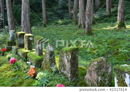 Nameless Fudo Fudan 42317814