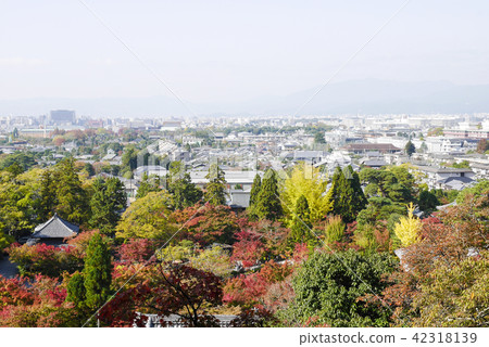 京都 42318139