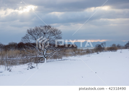 Morning on the shore of Lake Biwa in winter Morning on the shore of Lake Biwa in winter 42318490