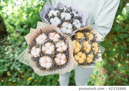 three beautiful and different bouquets lavender with cotton in woman hands . dried flowers lilac three beautiful and different bouquets lavender with cotton in woman hands . dried flowers lilac 42318866