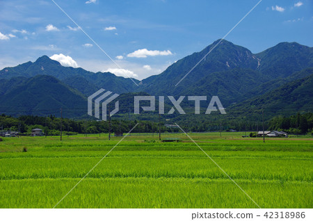 Suzuka Mountain Foot Summer Landscape 42318986