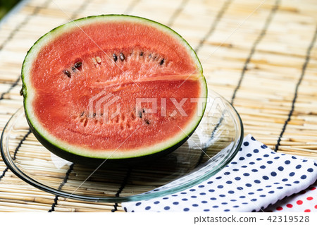 watermelon   42319528