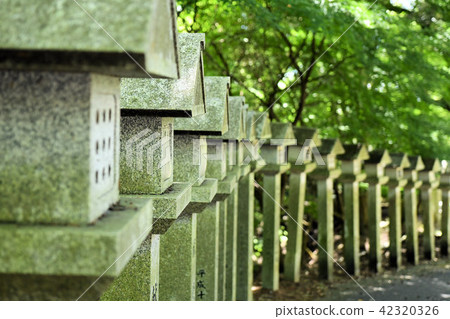 Iwamatera Iwamatera 42320326