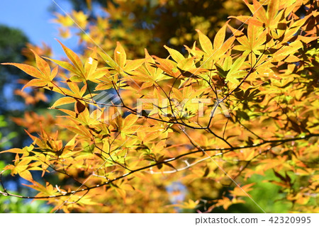 猿丸神社　 42320995