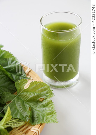 Mulberry leaf juice Mulberry leaf juice 42321748