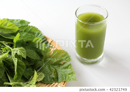 Mulberry leaf juice Mulberry leaf juice 42321749
