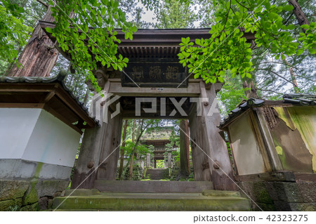 Teijoji 3159 42323275